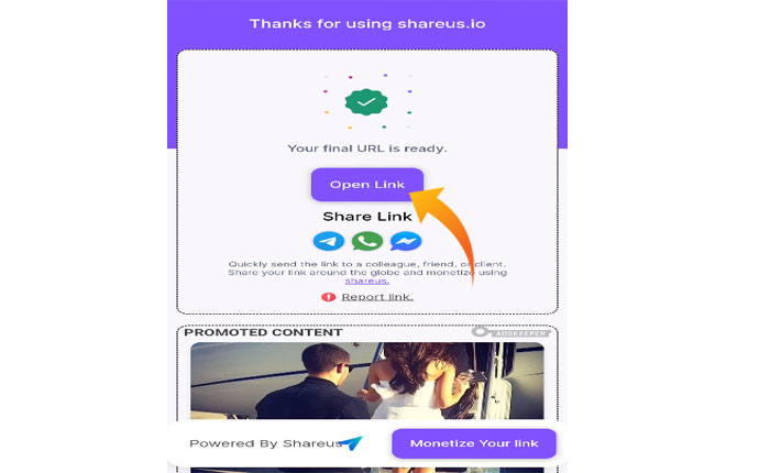 「米国の共有」リンクを開く