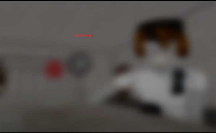 スラップバトルでBlashphemy Gloveを入手