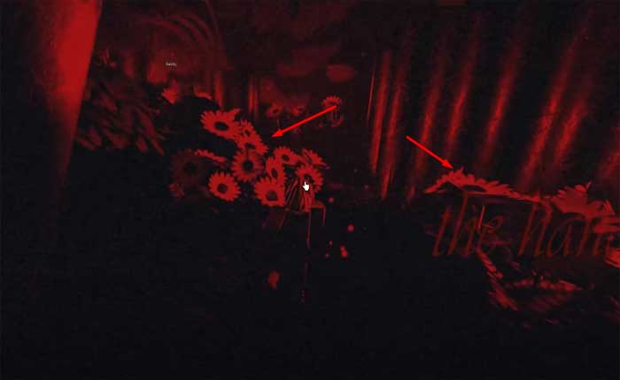 印象的なドレスを着てラナのクエストを完了する方法