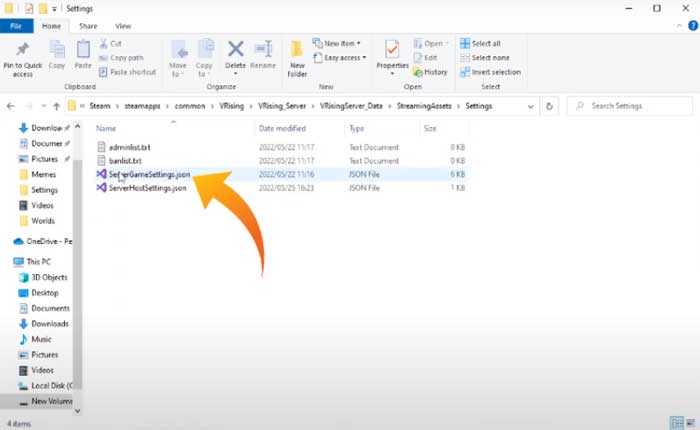 Vライジングでプライベートサーバー設定を変更する