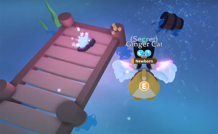 特別な星の場所を採用してください