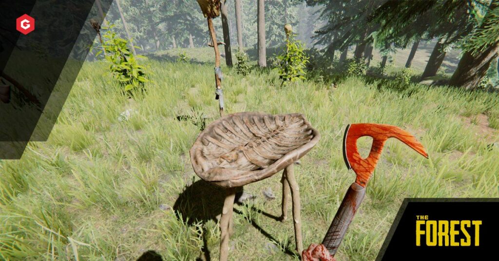 森：水を飲む方法、喉の渇きを管理する方法、そしてレインコレクターを作る方法-レシピと材料