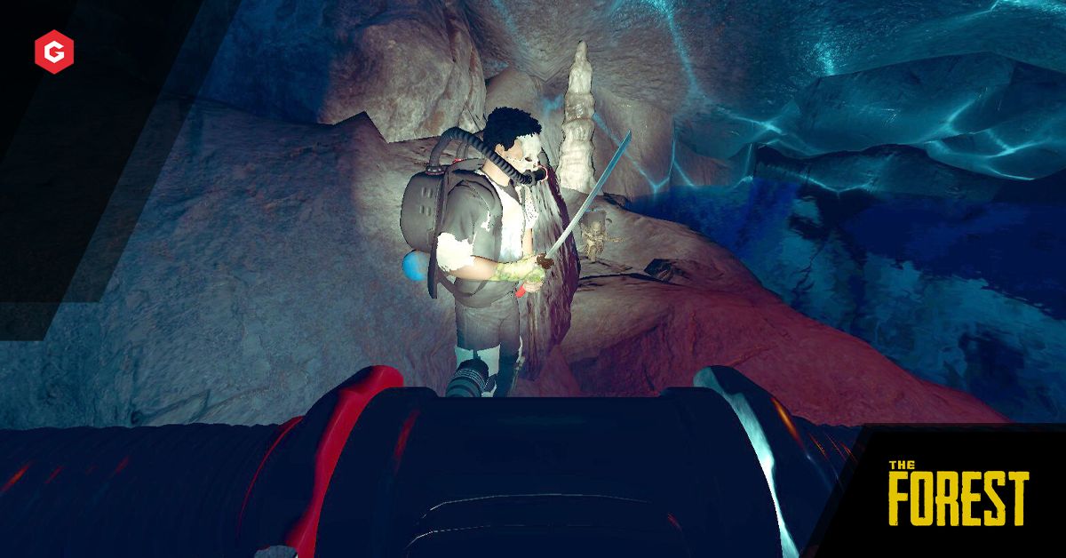 森のリブリーザーの場所：リブリーザーはどこで入手できますか？