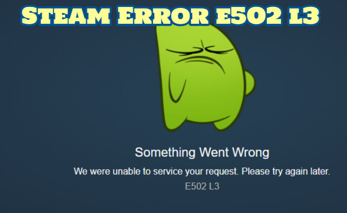 スチームエラーe502 l3