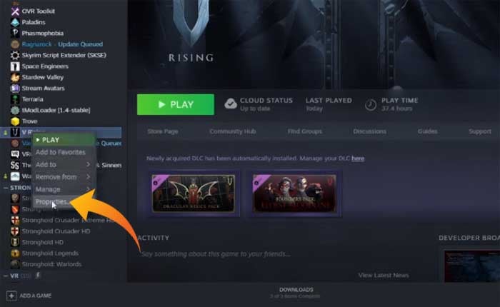 Vライジングでプライベートサーバー設定を変更する
