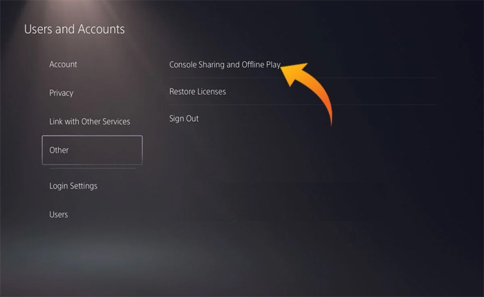 PS5 エラー E2-821130A6