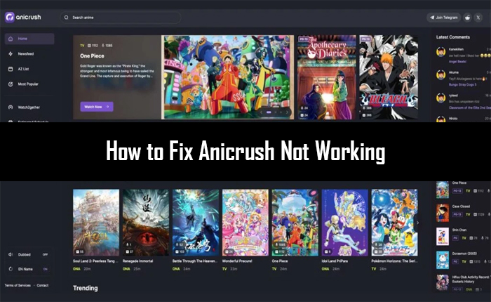 Anicrushが機能していません