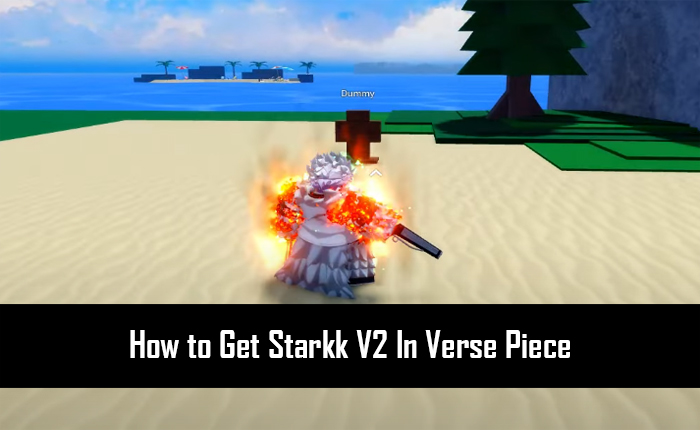 Starkk V2 in Verse Piece