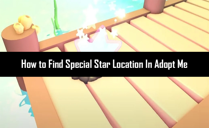 特別な星の場所を採用してください
