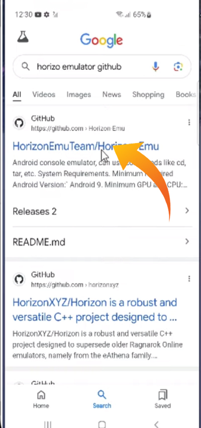 Horizo​​n Emulator Setup Guide