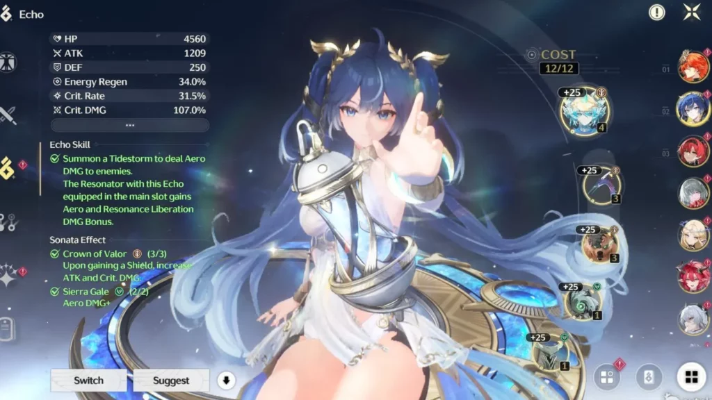 すべてのキャラクターに最適なエコー セット