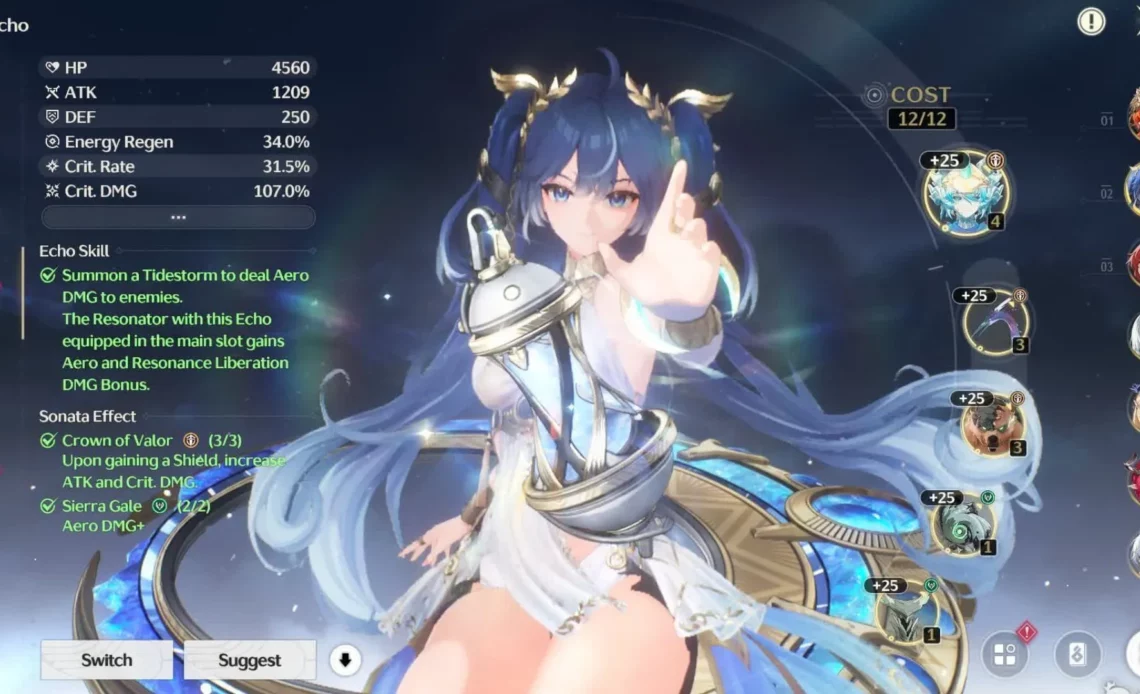 すべてのキャラクターに最適なエコー セット