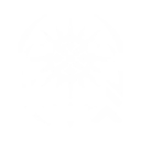 嵐の波に最適な S1 レゾナンス チェーン: ローバーの投資ガイド