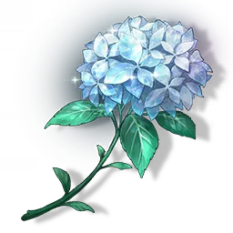 夏の花の入手方法は？