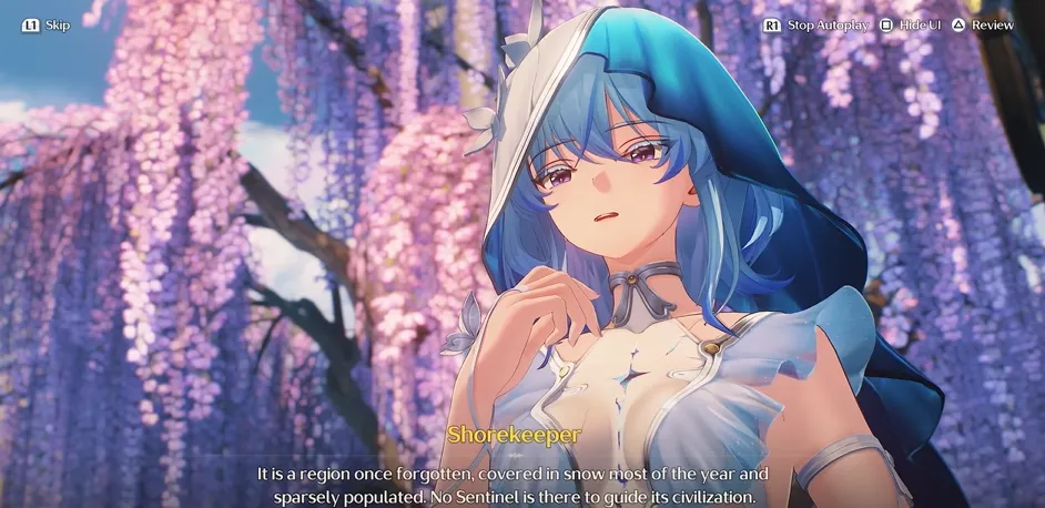 アメマス？人工センチネル？発売日