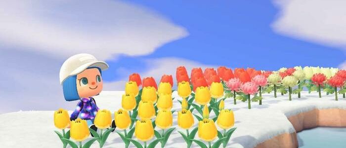 Animal Crossing New Horizo​​ns – 冬には花は枯れますか?