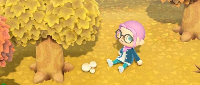Animal Crossing New Horizo​​ns – キノコの入手方法