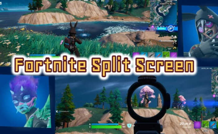 Fornite の分割画面の問題