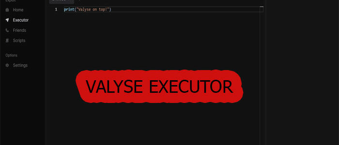 Valyse Executor v1.0.0: ダウンロード方法 (2024 年 1 月)