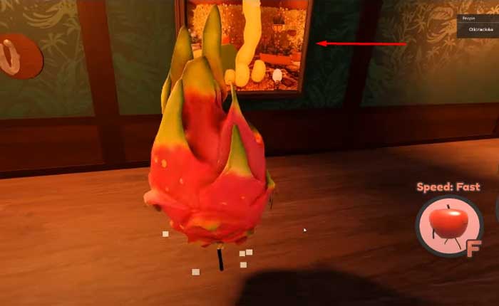 秘密のステイケーションで偽枝豆を入手する方法 (2024) 23 秘密のステイケーションで偽枝豆を入手する方法