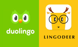 Duolingo vs LingoDeer
