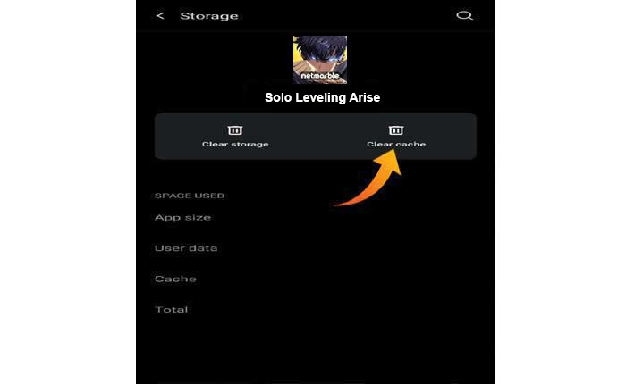 ソロ レベル アップ アライズ クラッシュ
