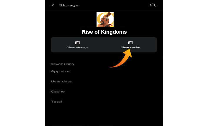 Rise of Kingdoms が読み込まれない