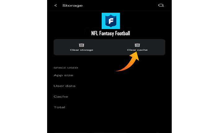 NFL ファンタジー アプリでポイントが表示されない