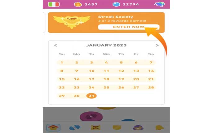 Duolingoのアプリアイコンを変更する 